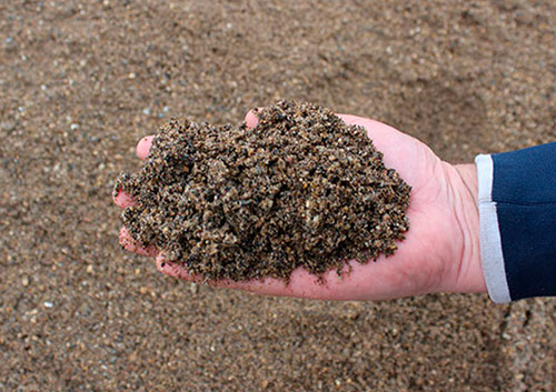Купить обогащённый песок в Кинеле