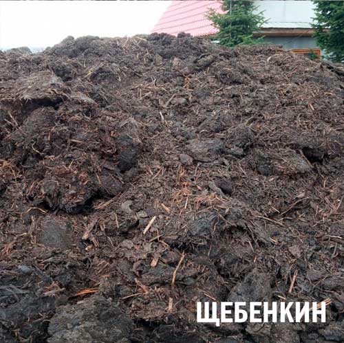 Перегной коровий