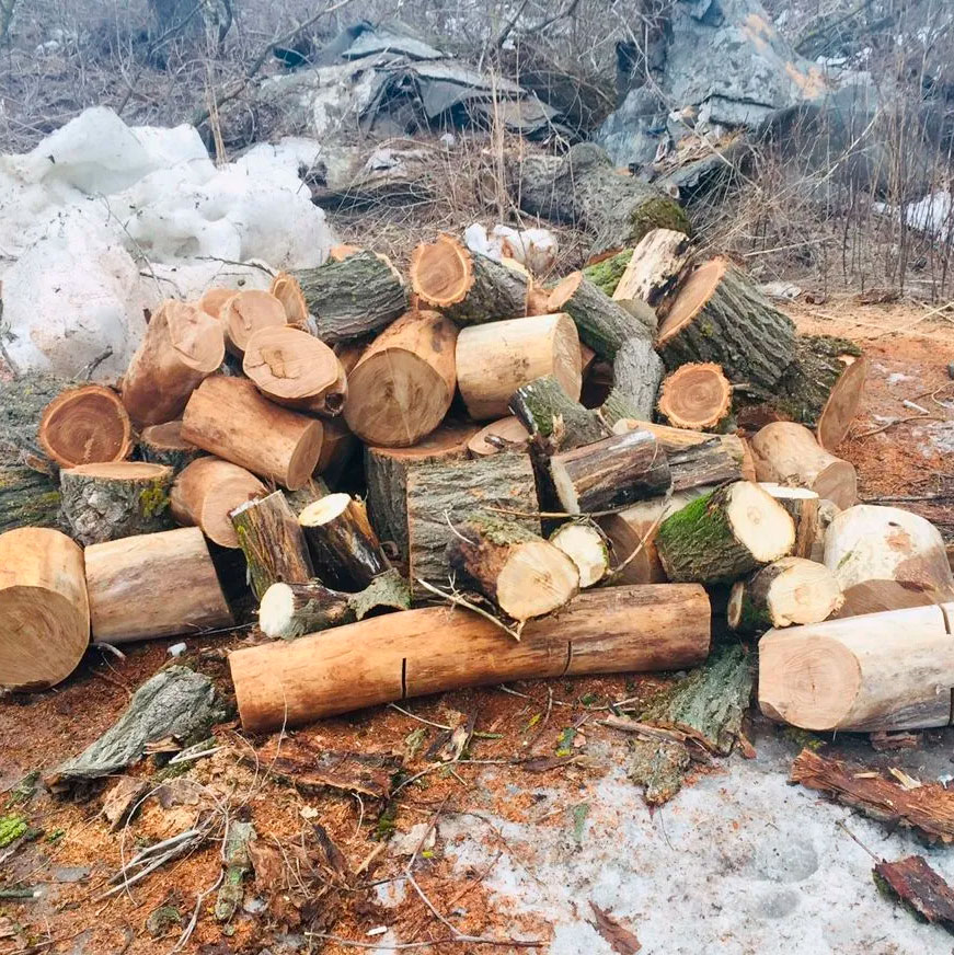 Купить дрова в Волгограде с доставкой