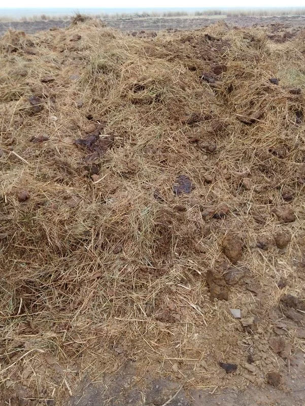 заказать перегной Волгоград